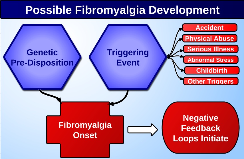 Fibromyalgia Causes: What Causes Fibromyalgia?