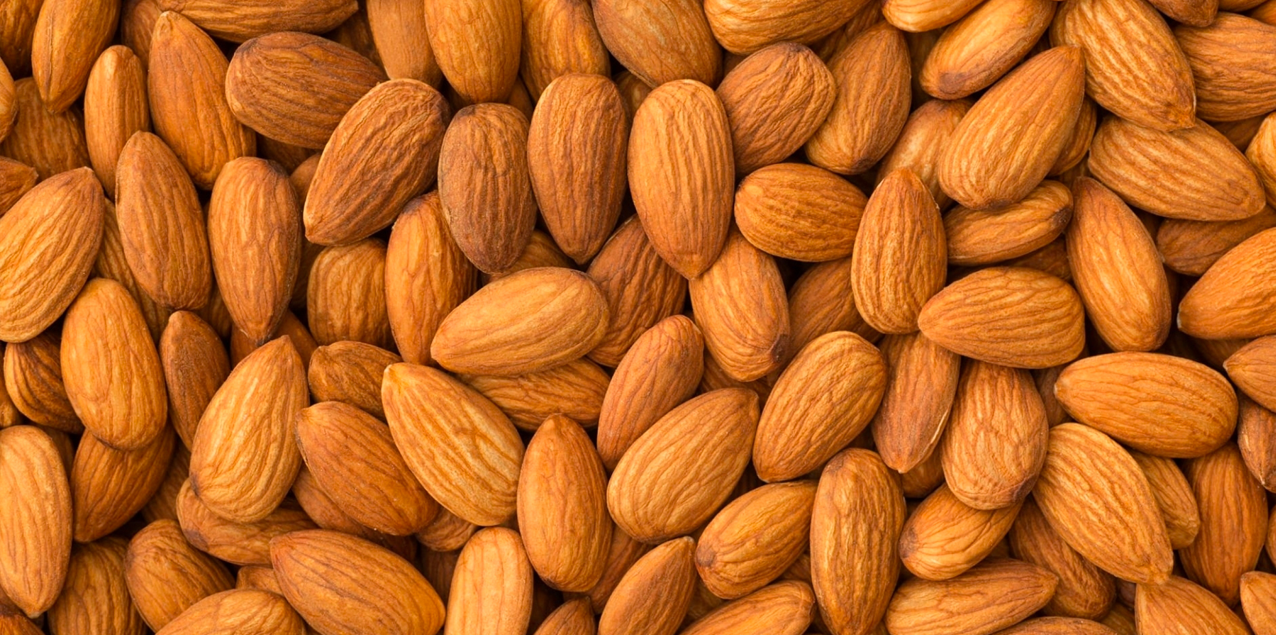 Almonds: Facts, Nutrition, Benefits, & More