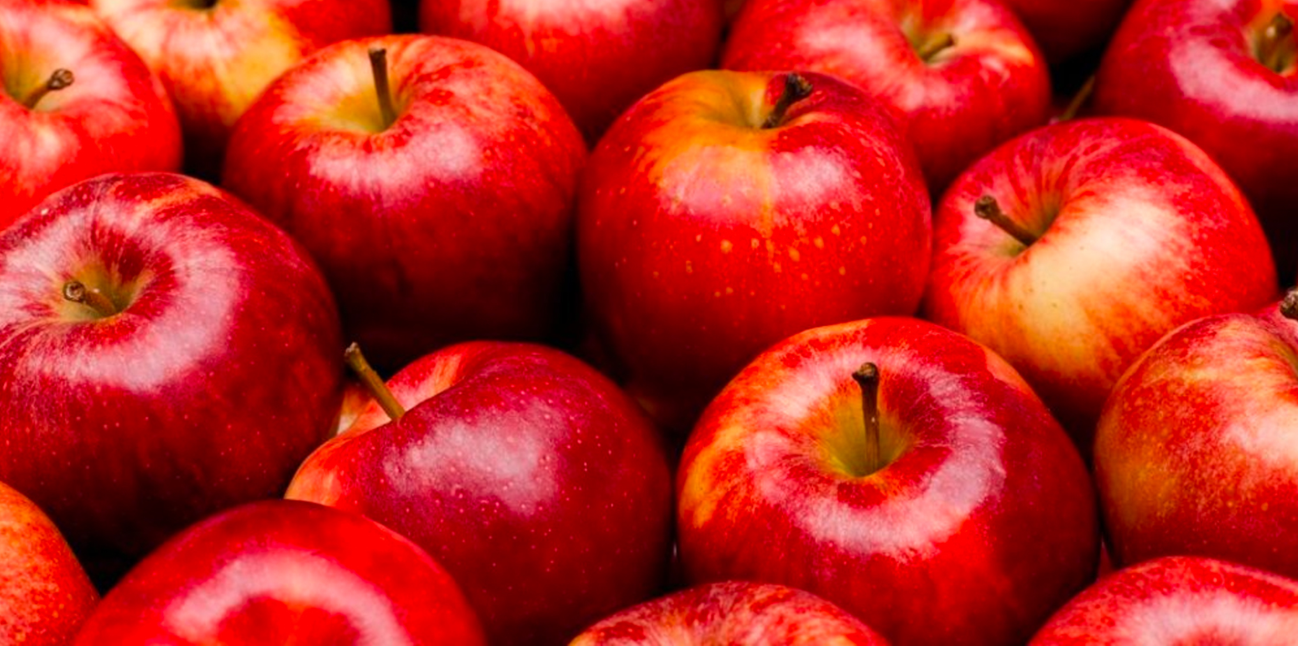 Apple: Facts, Nutrition, Benefits, and More