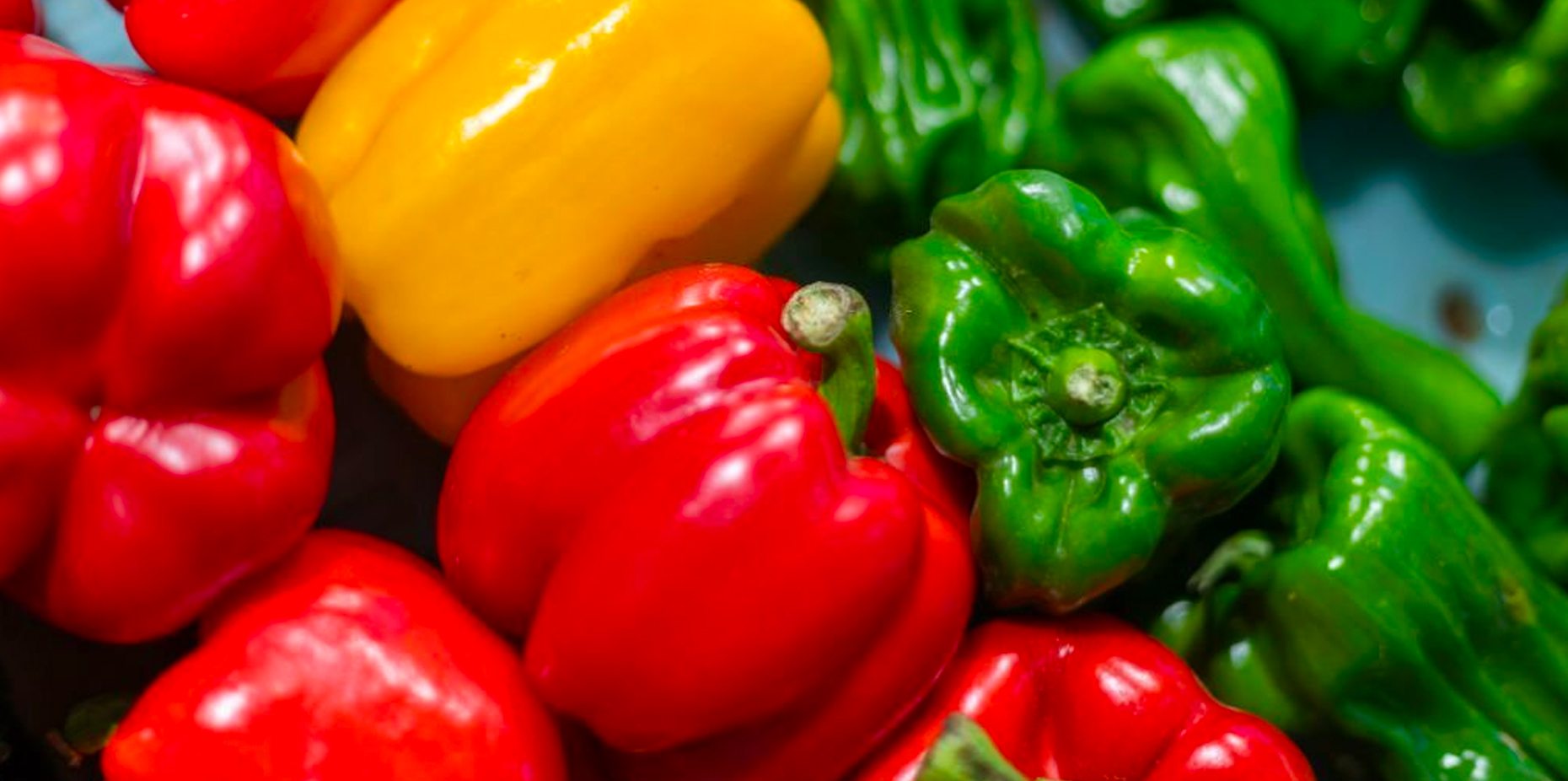 Bell Peppers: Facts, Nutrition, Benefits, & More