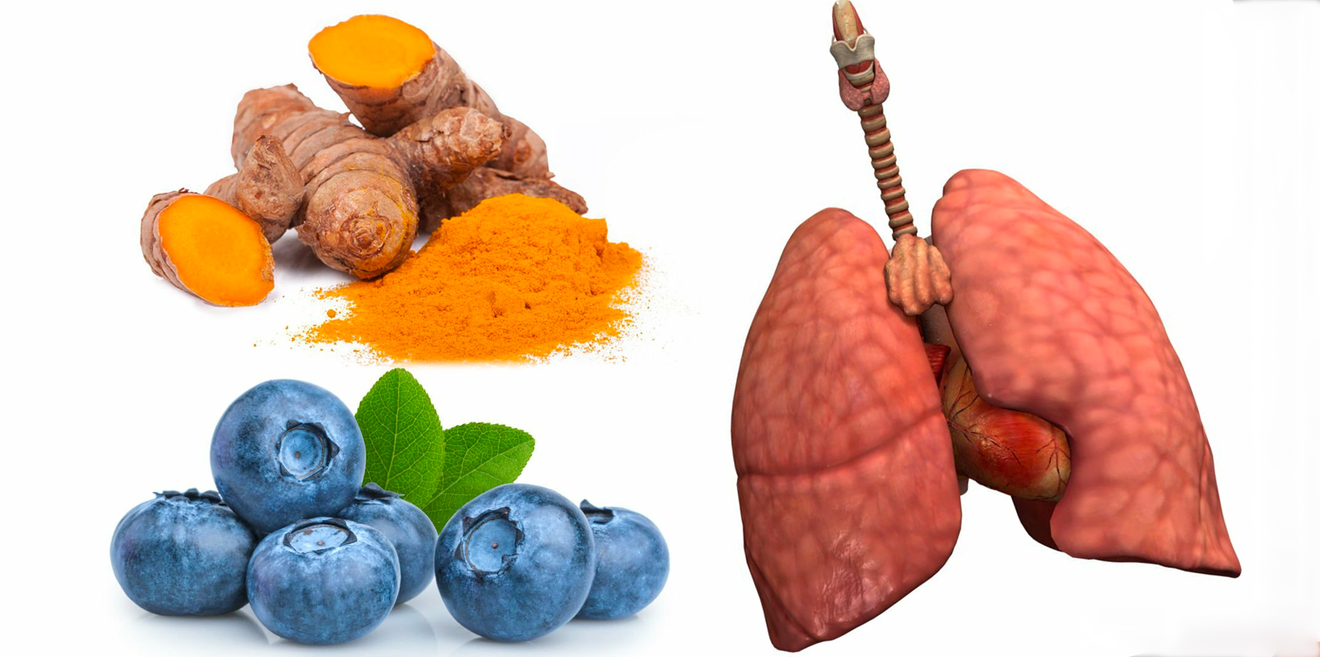 9 Best Foods For Lungs – Detox and Cleanse Lungs