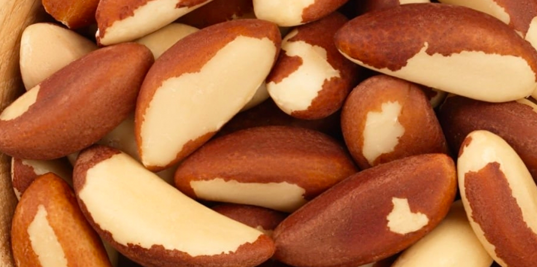 10 Proven Health Benefits of Brazil Nuts HealthNormal