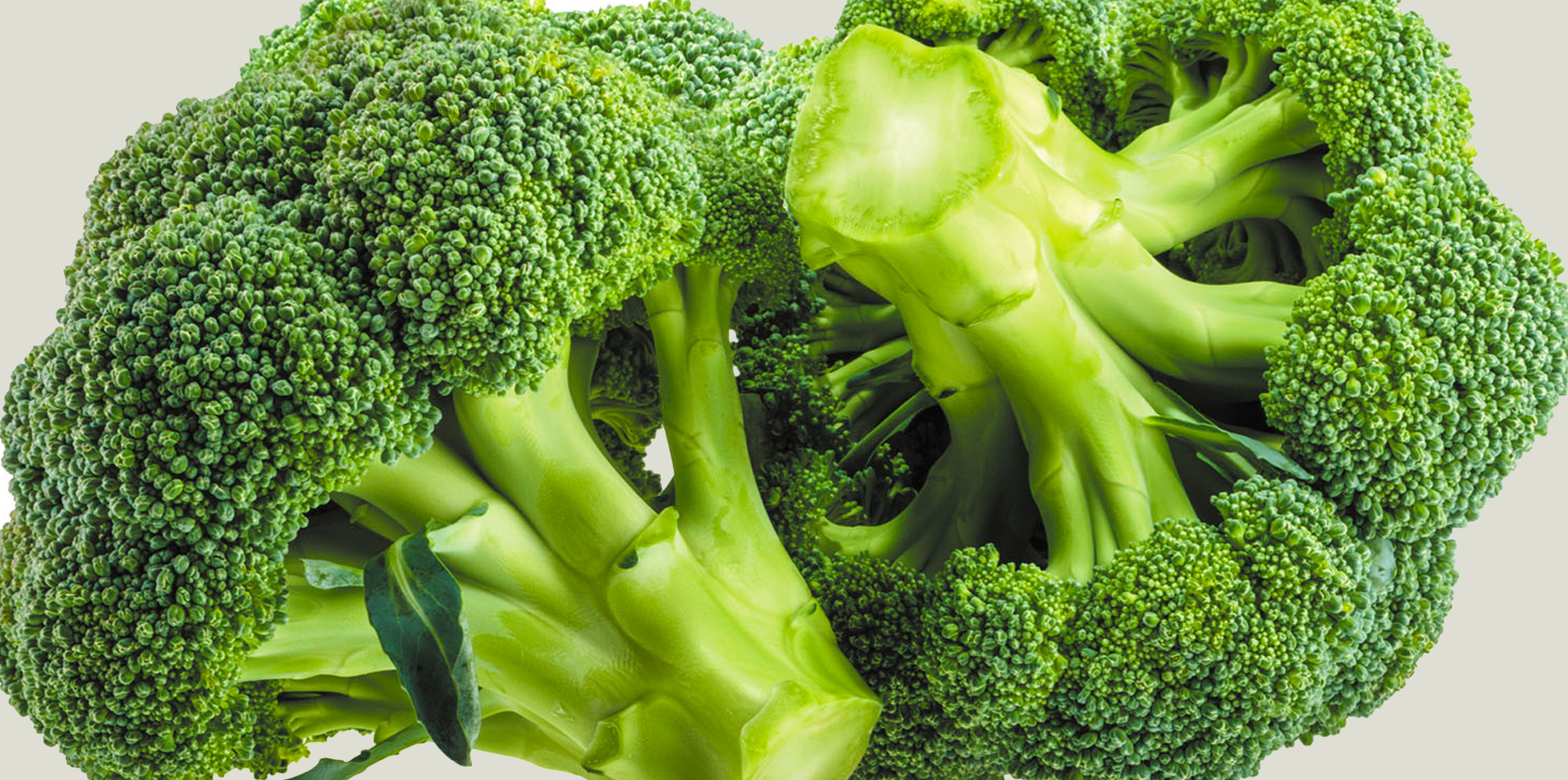 Broccoli: Nutrition, Health Benefits, Facts, and More