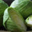 Cabbage Benefits