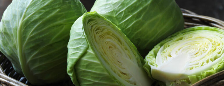 Cabbage Benefits