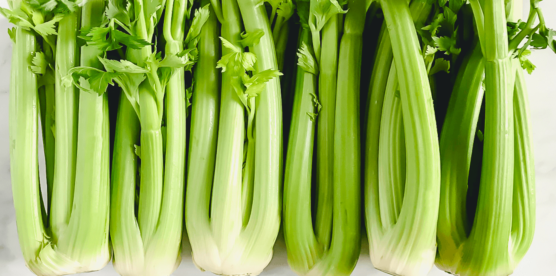 Celery: Facts, Nutrition, Benefits & More