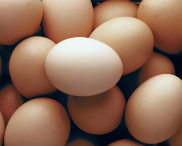 Eggs Benefits
