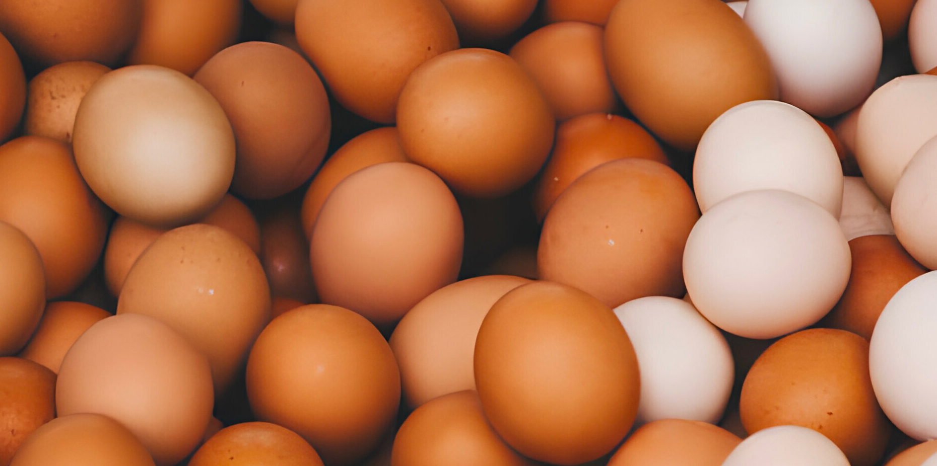 Eggs: Facts, Nutrition, Benefits, & More