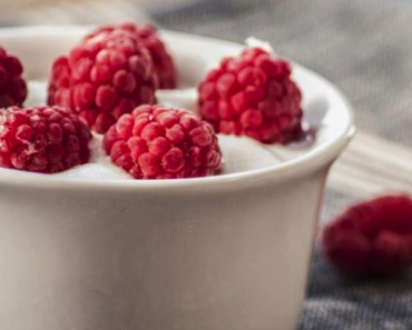 Fat Burning Foods