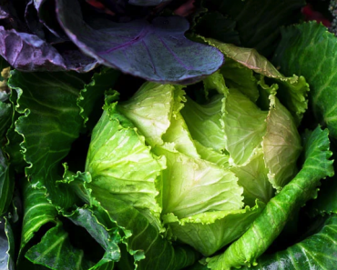 Foods for Liver Health