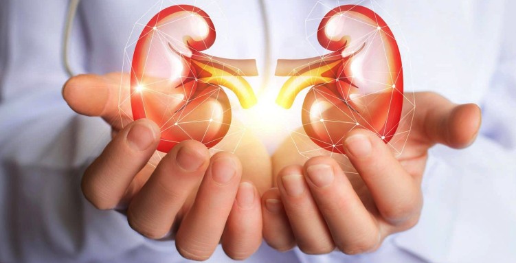 How to prevent kidney failure? 9 Tips