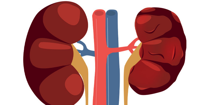 10 Signs & Symptoms of Kidney Failure