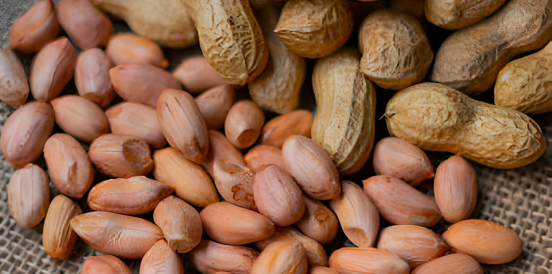 Peanuts: Facts, Nutrition, Benefits, & More