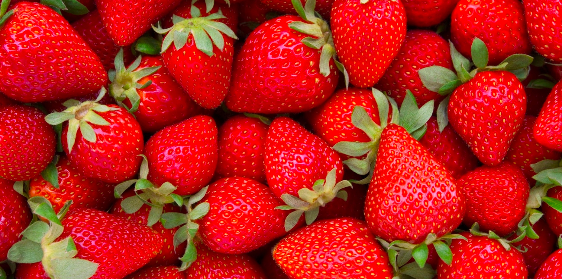 Strawberries: Facts, Nutrition, Benefits, & More