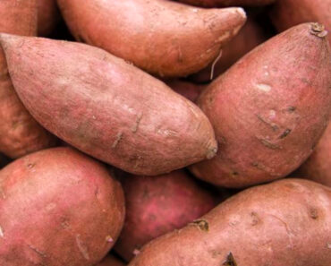 Sweet Potato