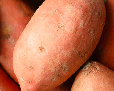 Sweet Potato Benefits
