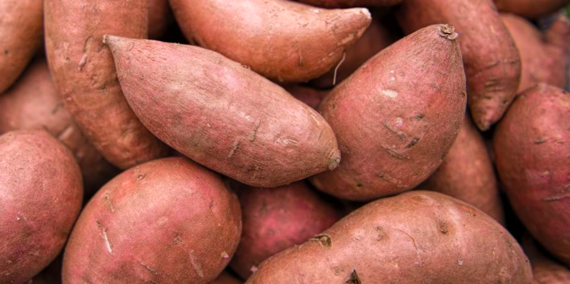 Sweet Potato: Facts, Nutrition, Benefits and More