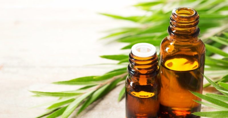 Tea Tree Oil for Sunburn: Is Tea Tree Oil Good for Sunburn Relief?