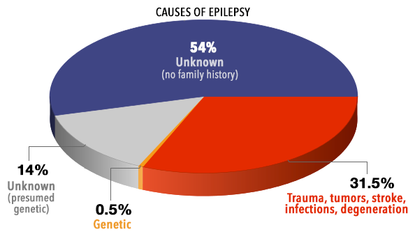 nocturnal epilepsy alcohol