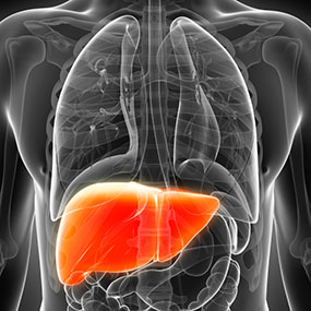 What is Hepatitis C